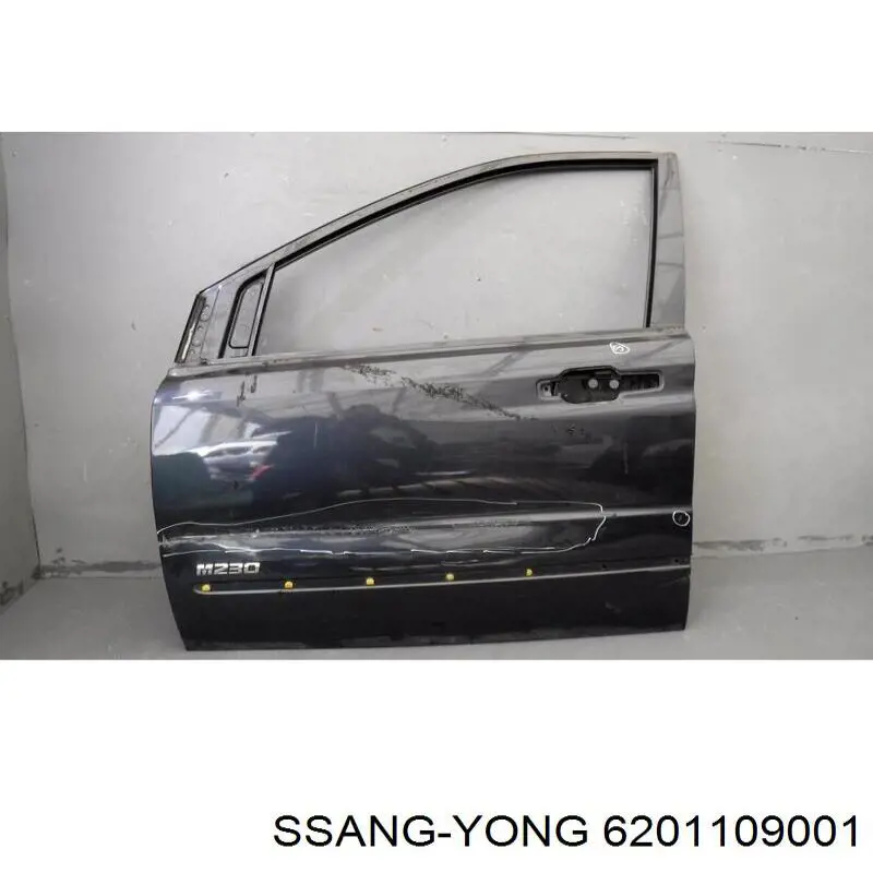 Купити 6201109001 Ssang Yong Двері кабіни