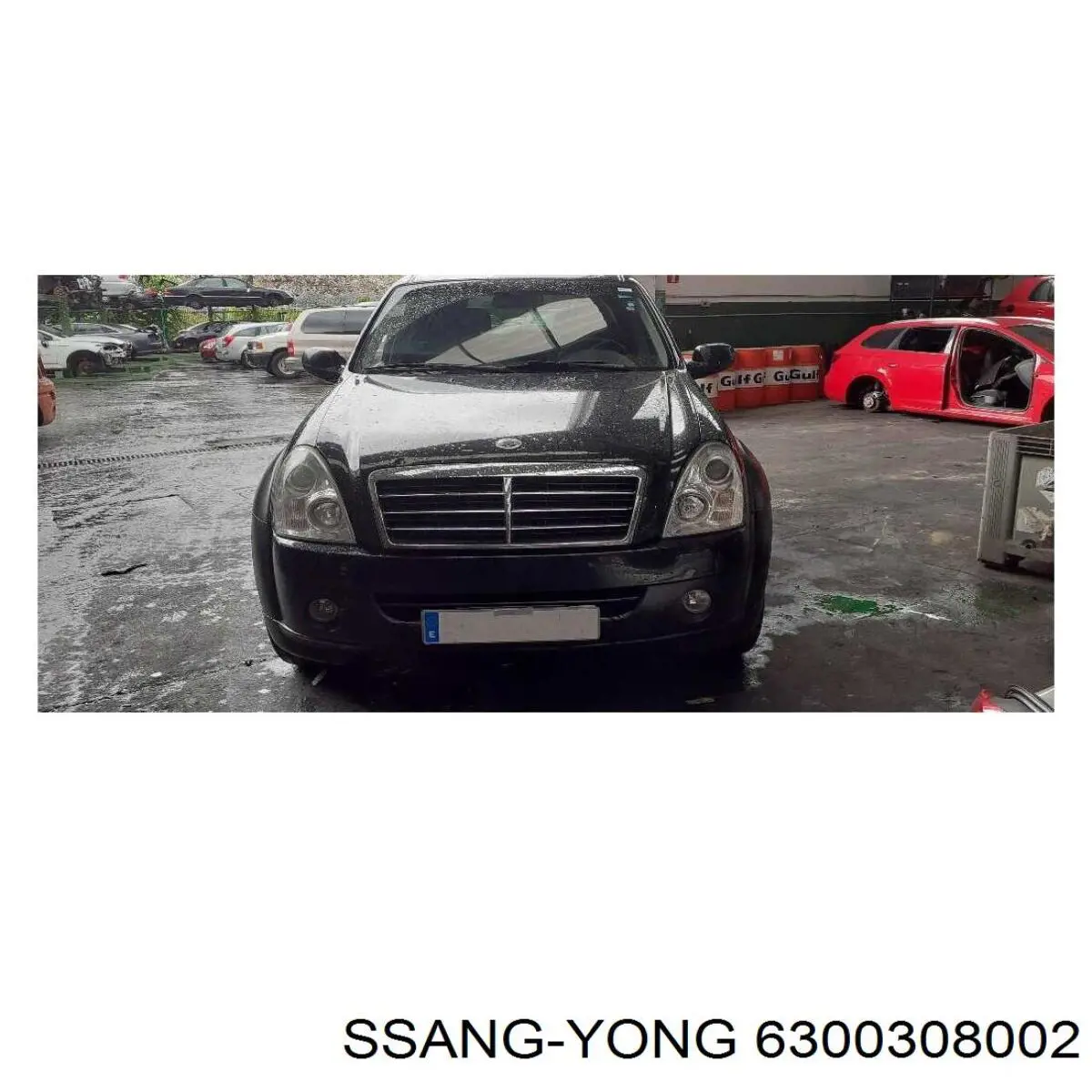 Двері задні Ssang Yong 6300308002 ціна, від 125.82 USD