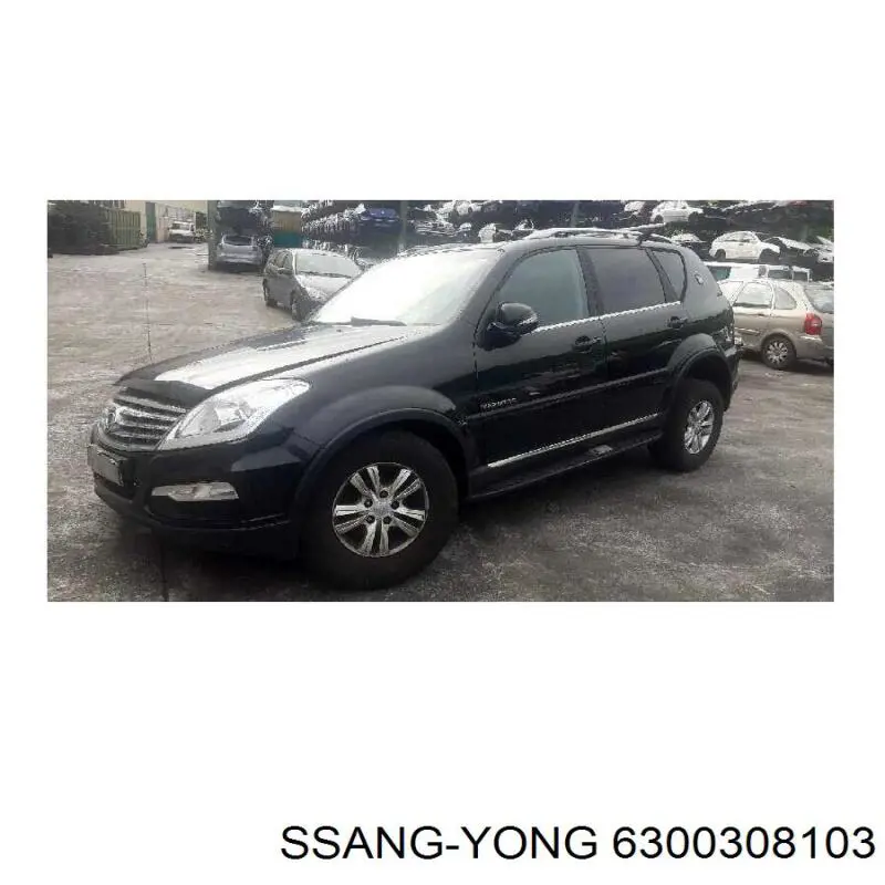 Двері задні Ssang Yong 6300308103 ціна, від 183.37 USD