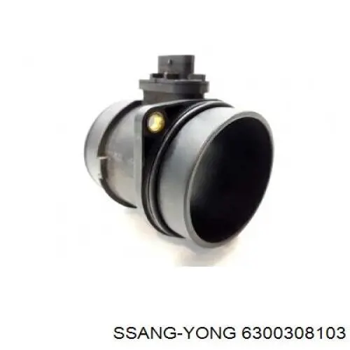 Купити 6300308103 Ssang Yong Двері задні, ліві