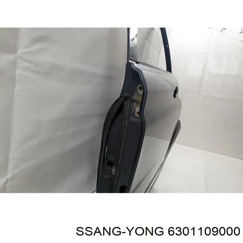 6301109000 Ssang Yong двері задні, ліві