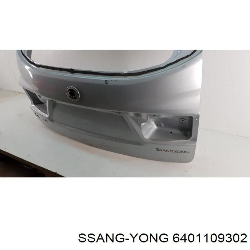 Двері багажника SsangYong Kyron 