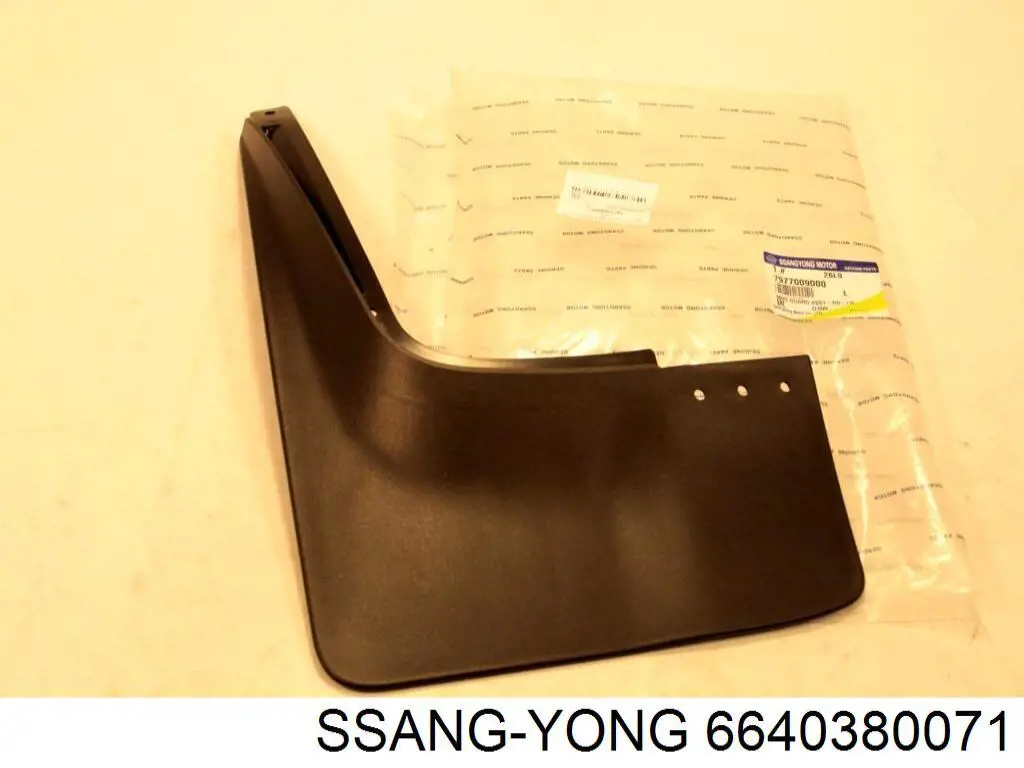  6640380071 Ssang Yong