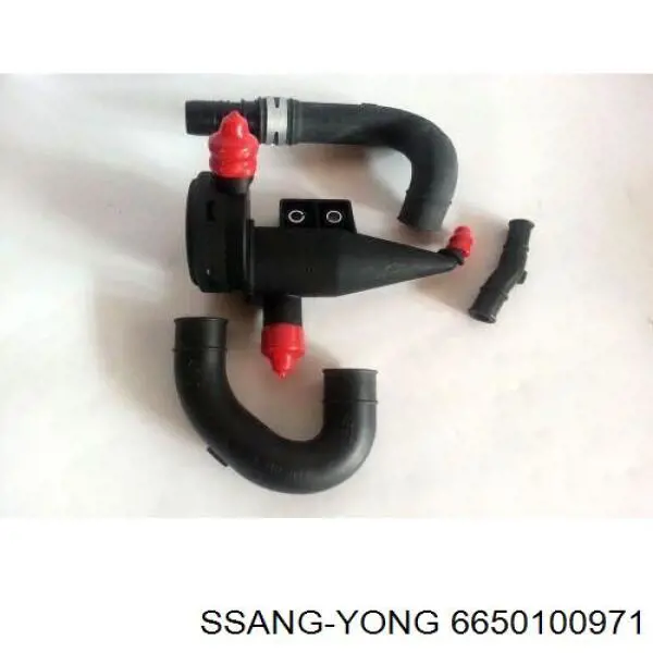 6650100971 Ssang Yong 