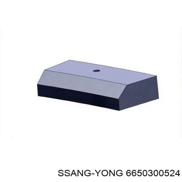 Кільця поршневі на 1 циліндр, STD. Ssang Yong 6650300524 ціна, від 46.85 USD
