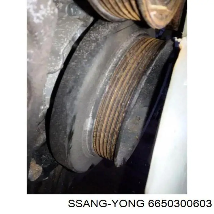 6650300603 Ssang Yong Демпфер колінвалу