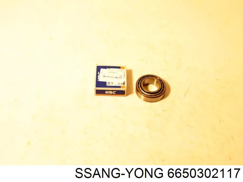 Поршень в зборі Ssang Yong 6650302117 ціна, від 107.69 USD