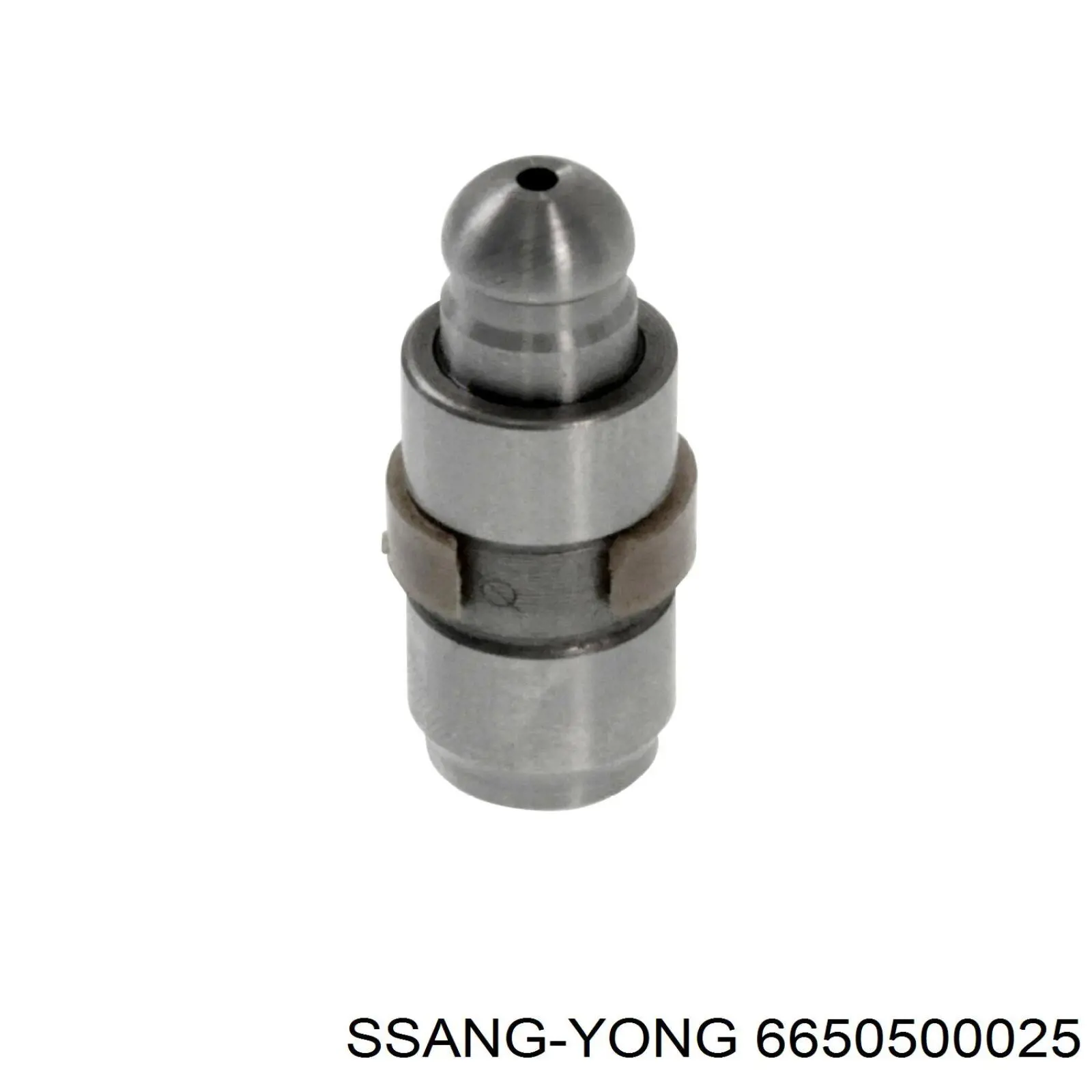 Купити 6650500025 Ssang Yong Штовхач клапанів двигуна