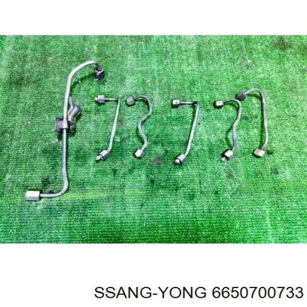  6650700733 Ssang Yong