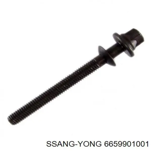 Болт кріплення форсунки Ssang Yong 6659900201 ціна, від 5.60 USD