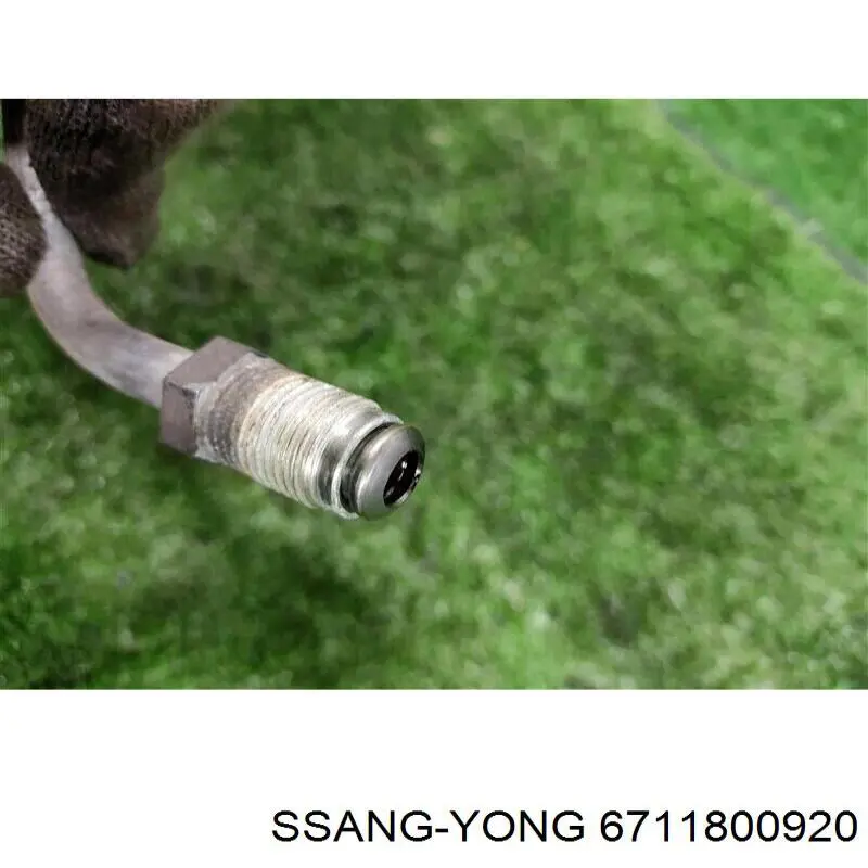 6711800920 Ssang Yong 