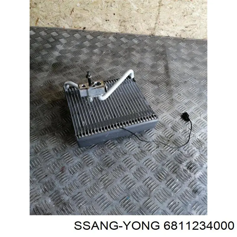Купити 6811234000 Ssang Yong 