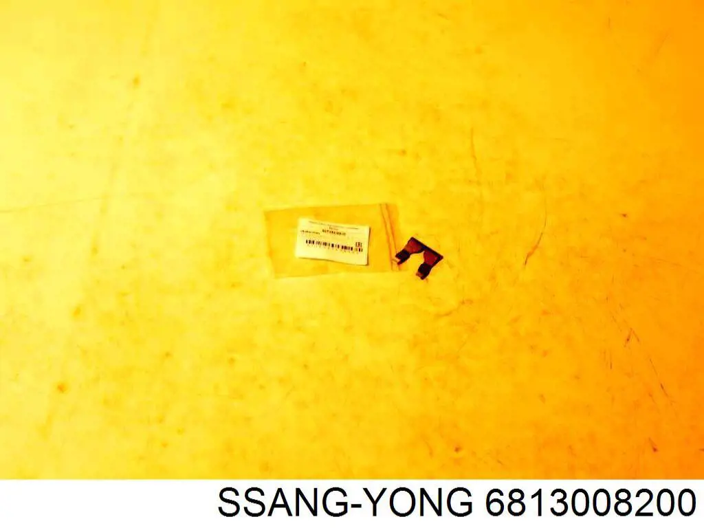 6813008200 Ssang Yong 