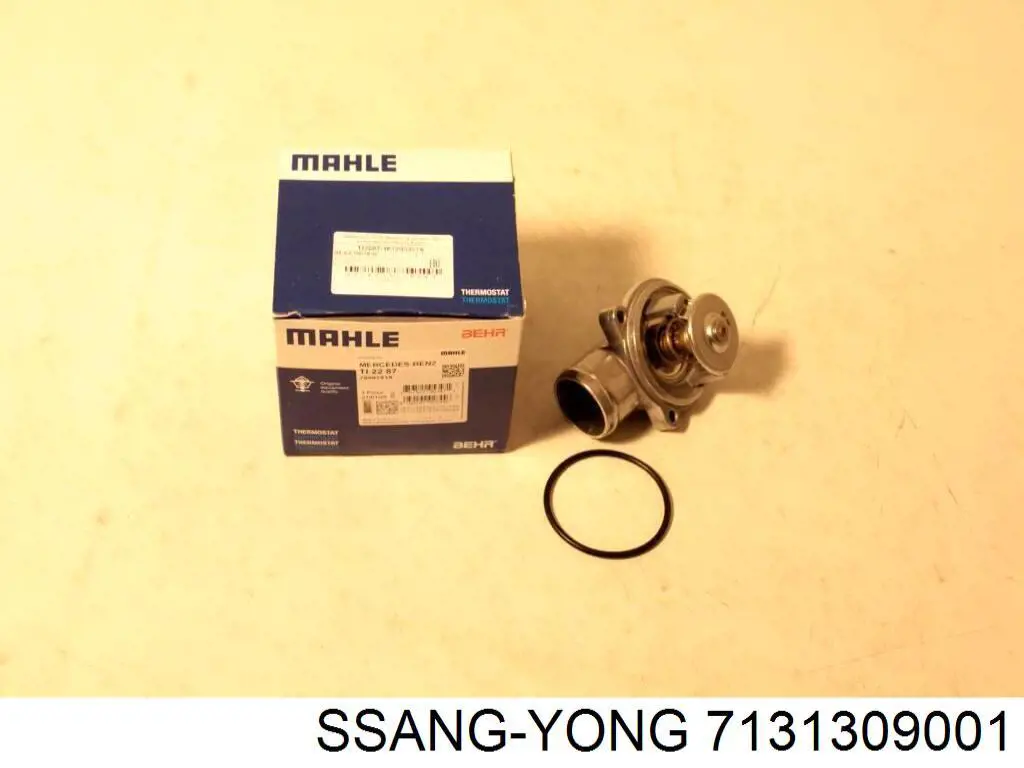  7131309001 Ssang Yong