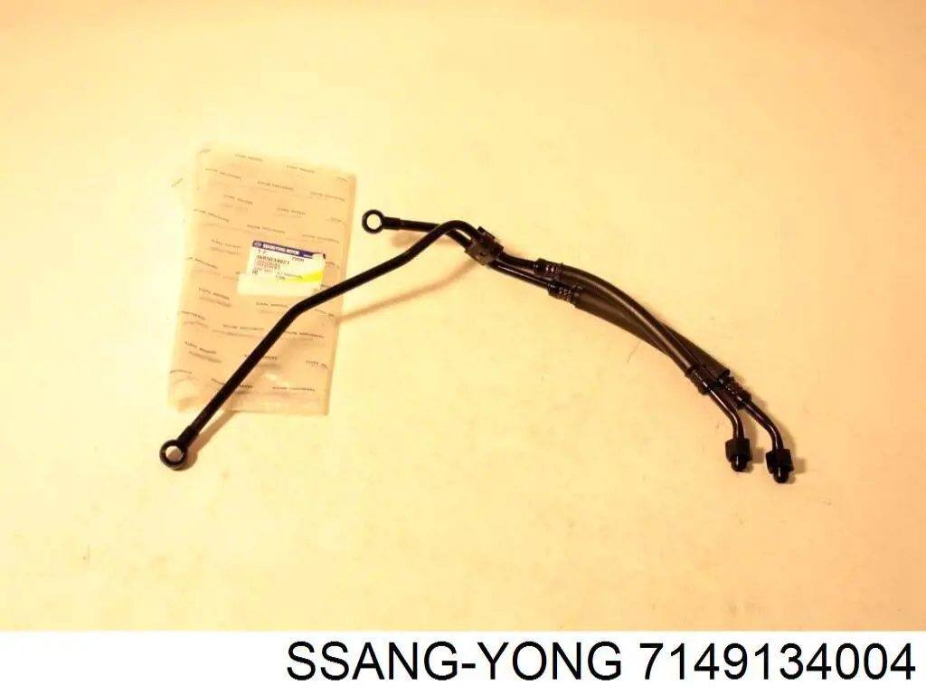 7149134004 Ssang Yong 