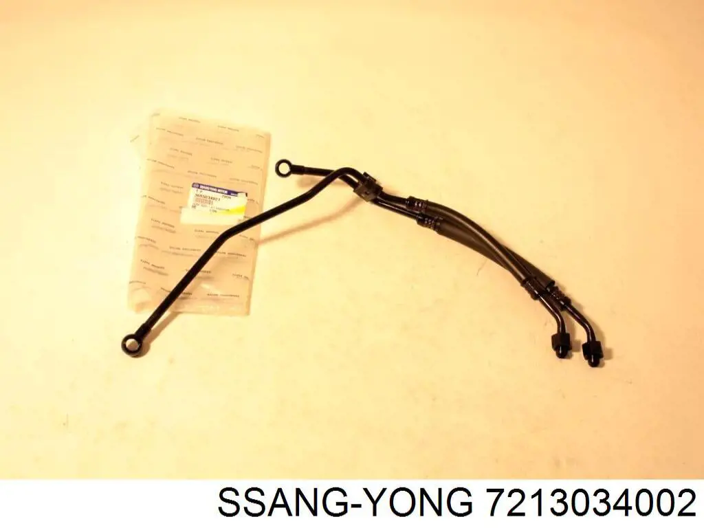 7213034002 Ssang Yong 
