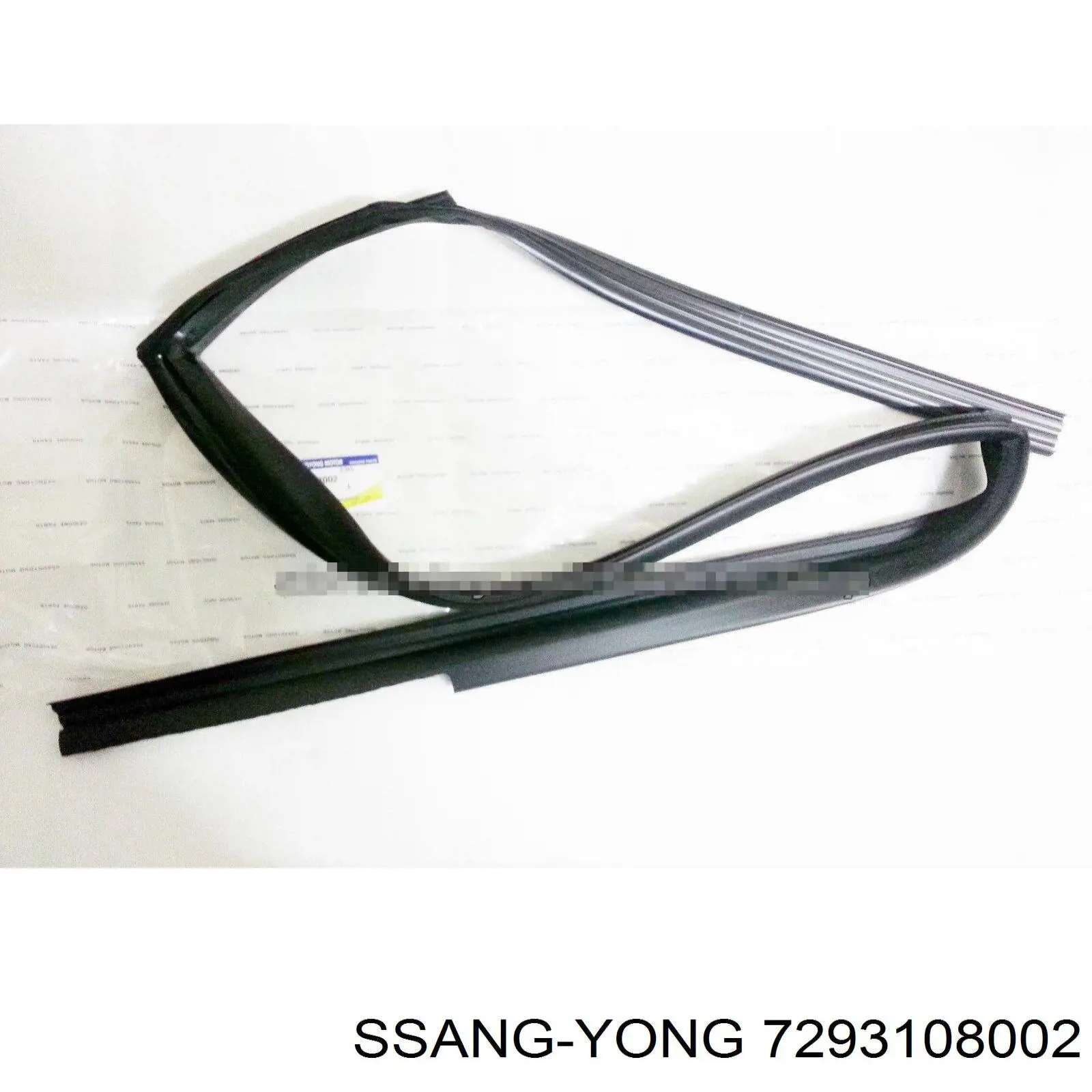 7293108002 Ssang Yong 