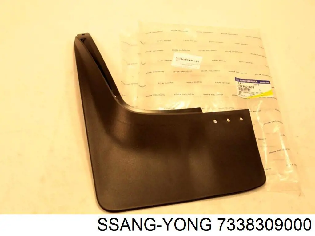 Купити 7338309000 Ssang Yong Кватирка двері трикутник, задня, права