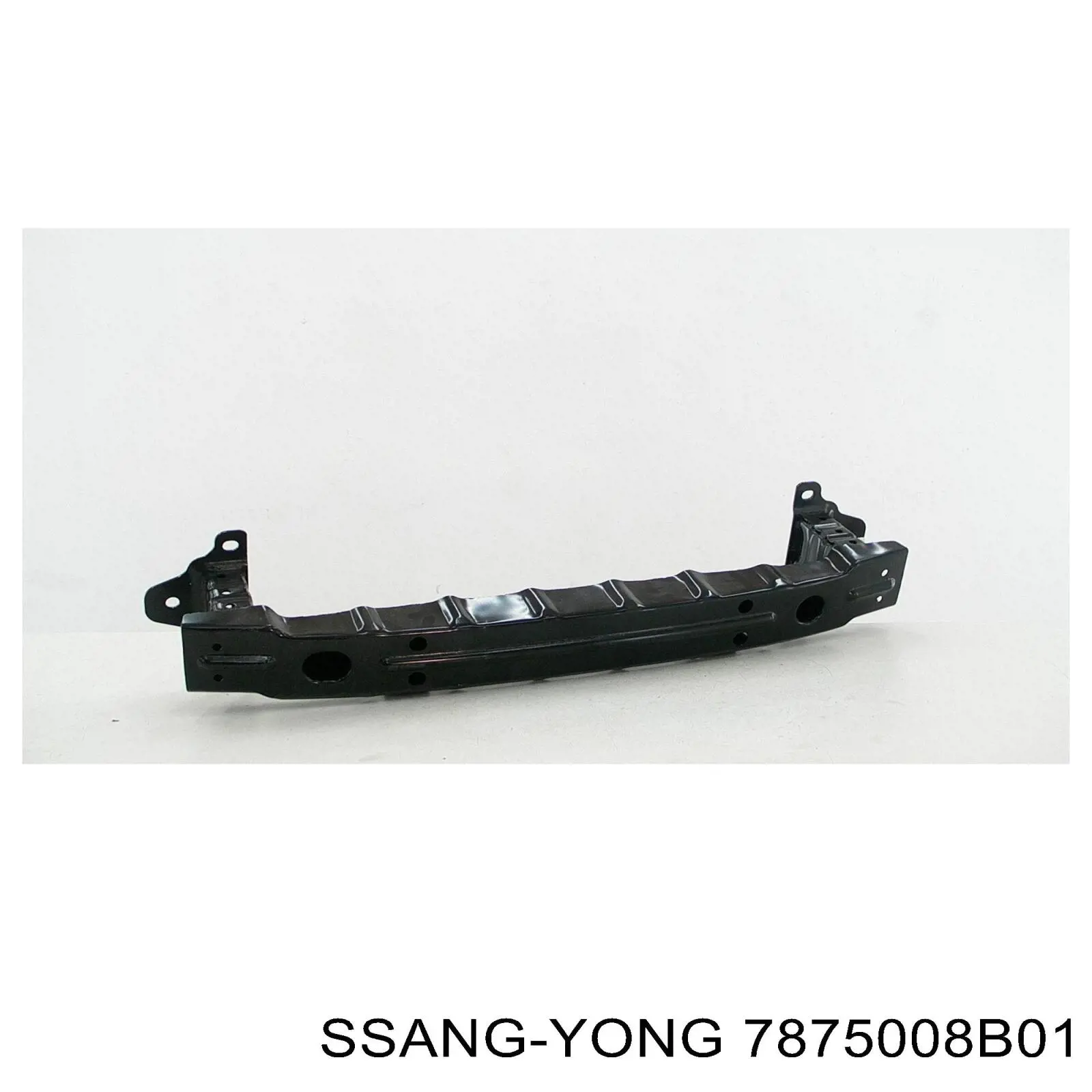 Шина бампера переднього Ssang Yong 7875008B01 ціна, від 144.60 USD