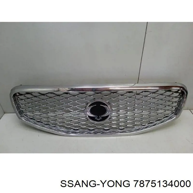 Облицювання радіатора Ssang Yong 7875134000 ціна, від 308.00 USD