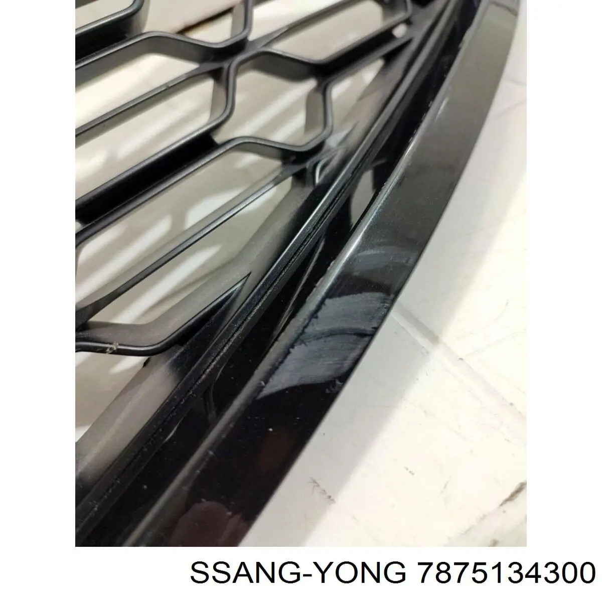 Купити 7875134300 Ssang Yong Захисна решітка радіатора