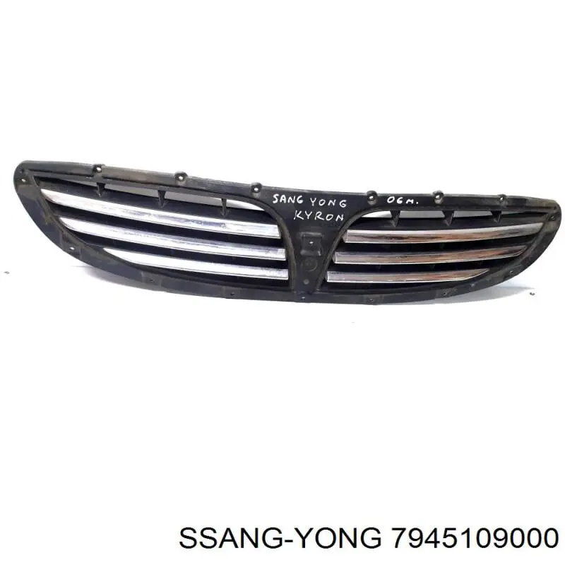 Облицювання радіатора Ssang Yong 7945109000 ціна, від 11.85 USD