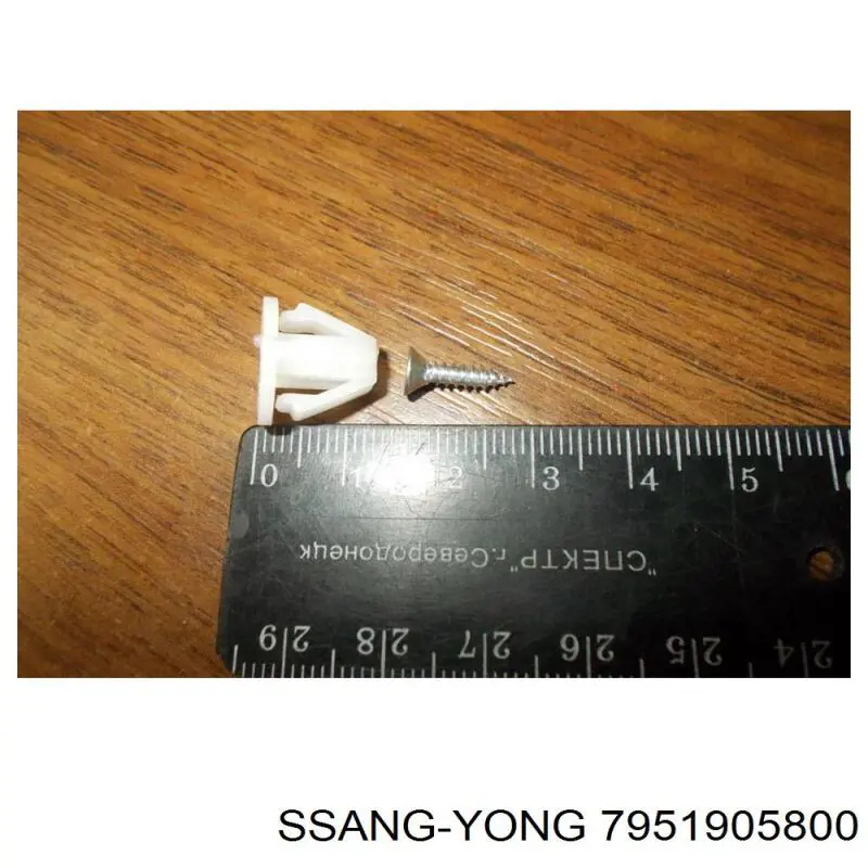 7951905800 Ssang Yong 