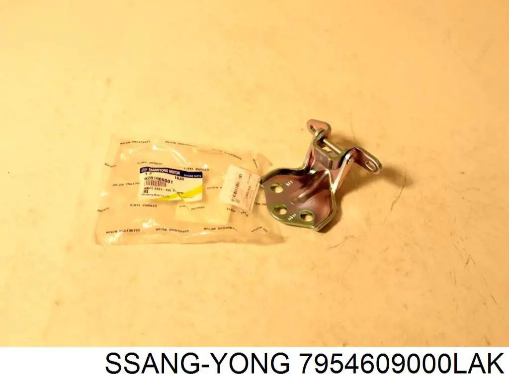 Купити 7954609000LAK Ssang Yong Молдинг задніх правих дверей