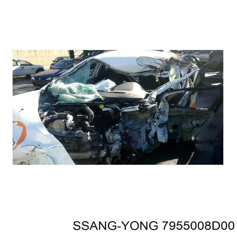 7955008D00 Ssang Yong 