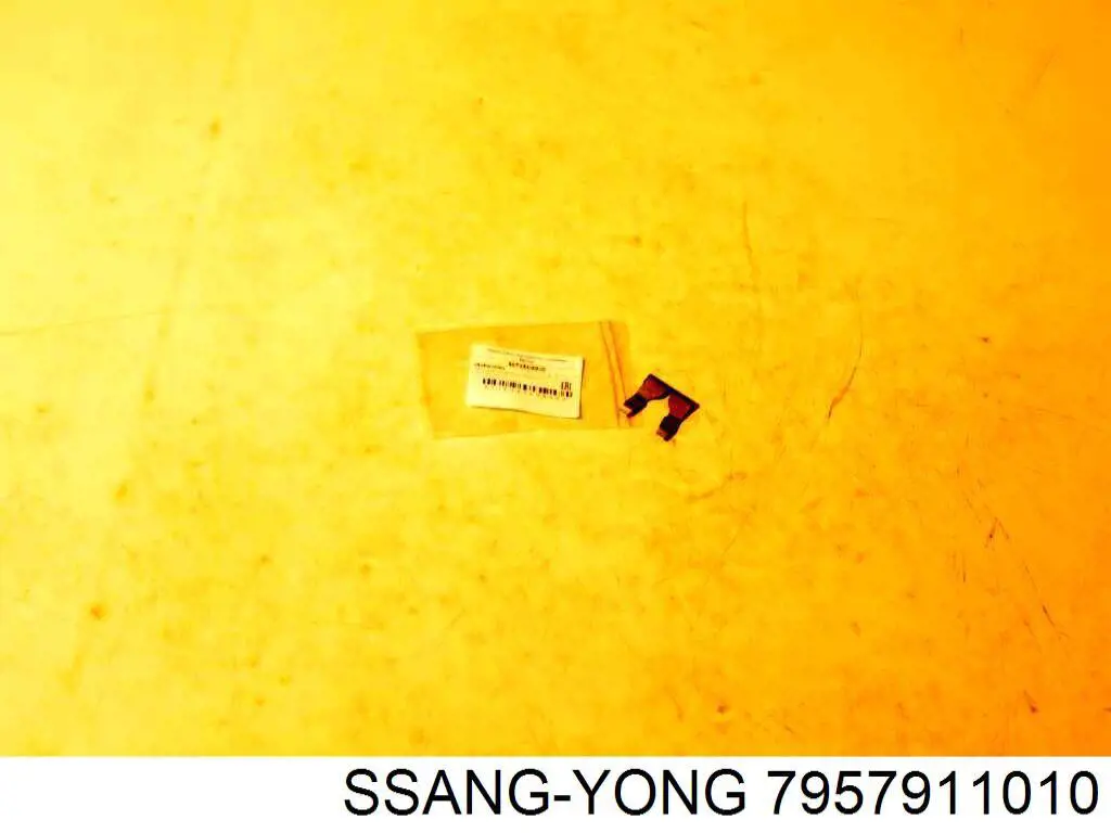 7957911010 Ssang Yong 