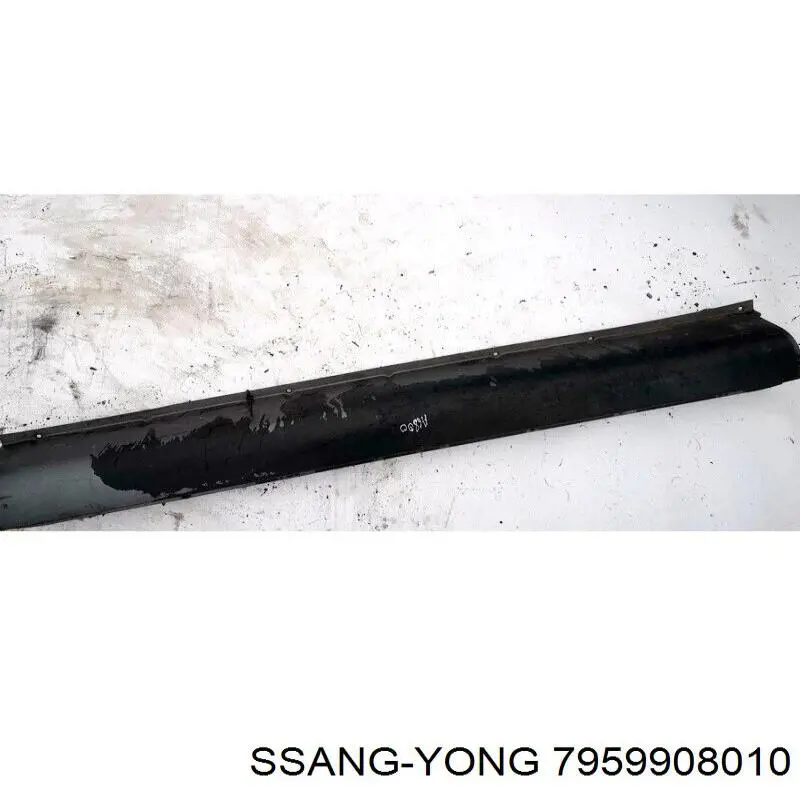 7959908010 Ssang Yong 