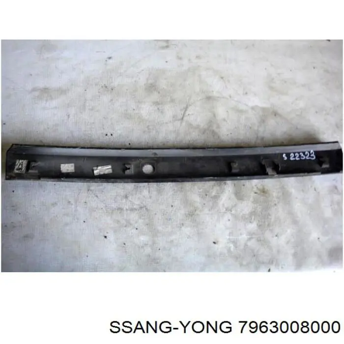 7963008000 Ssang Yong 
