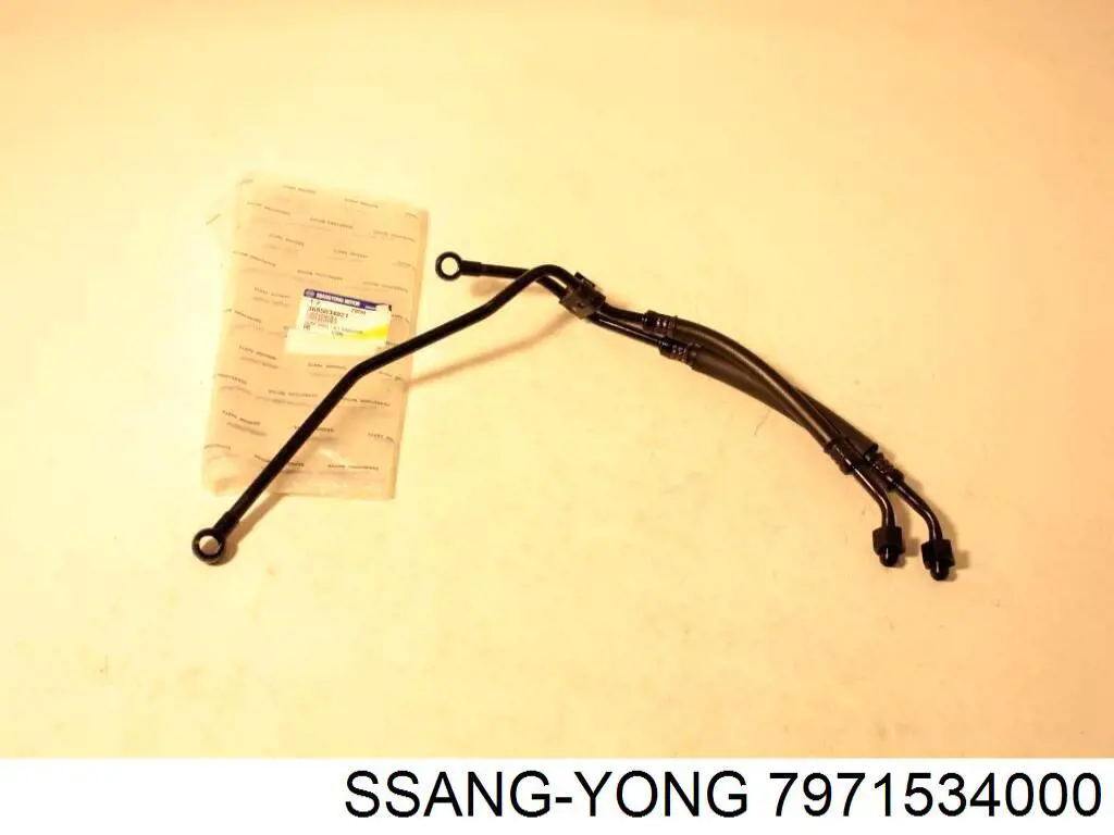 7971534000 Ssang Yong 