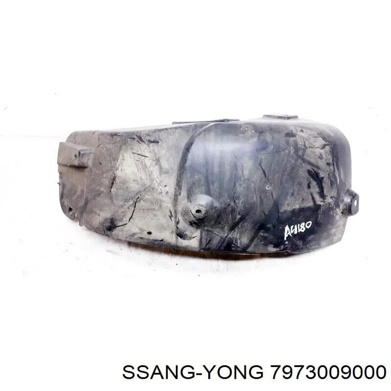 Купити 7973009000 Ssang Yong Підкрилок заднього крила, лівий передній