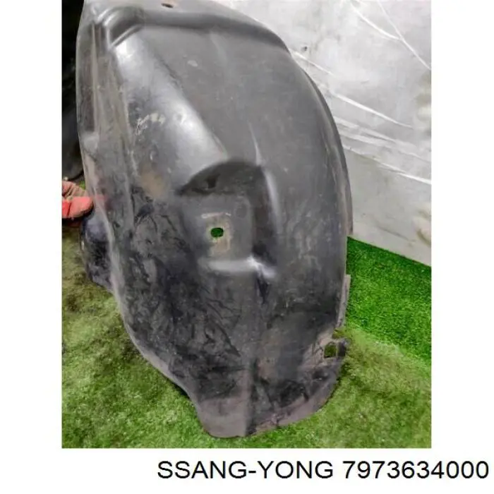 Купити 7973634000 Ssang Yong Підкрилок заднього крила, лівий