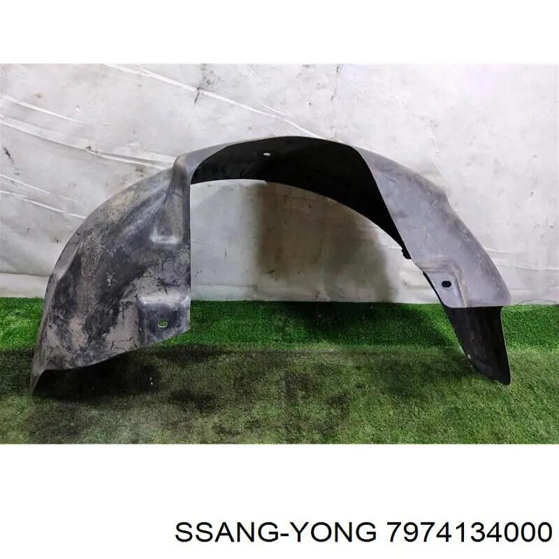 Купити 7974134000 Ssang Yong Підкрилок заднього крила, правий