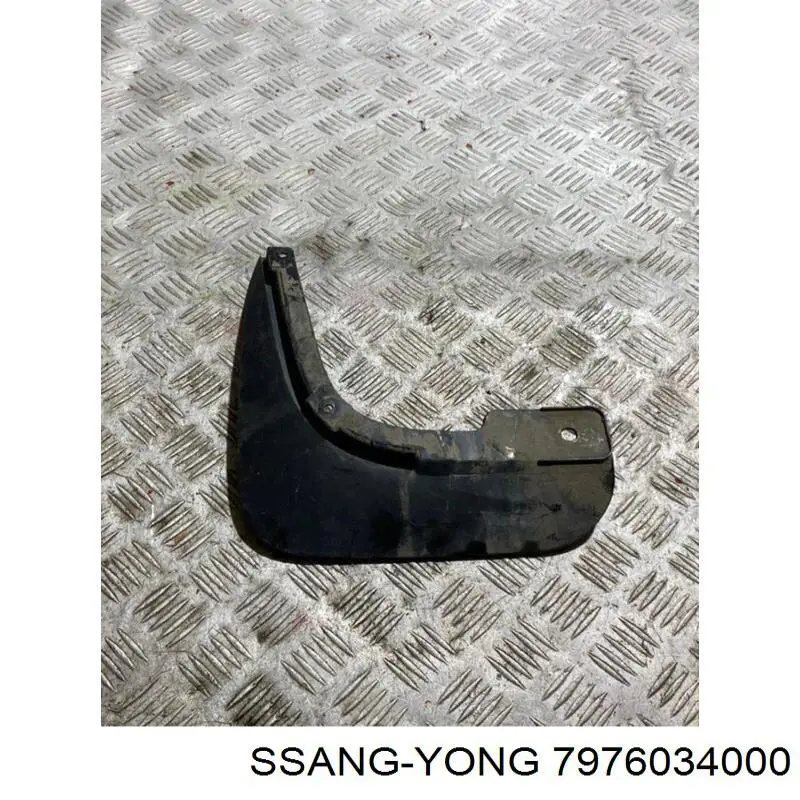 7976034000 Ssang Yong Бризговик задній, лівий