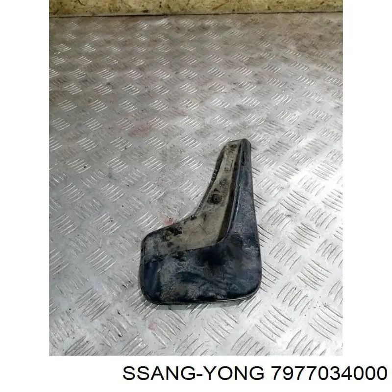 7977034000 Ssang Yong Бризговик задній, правий