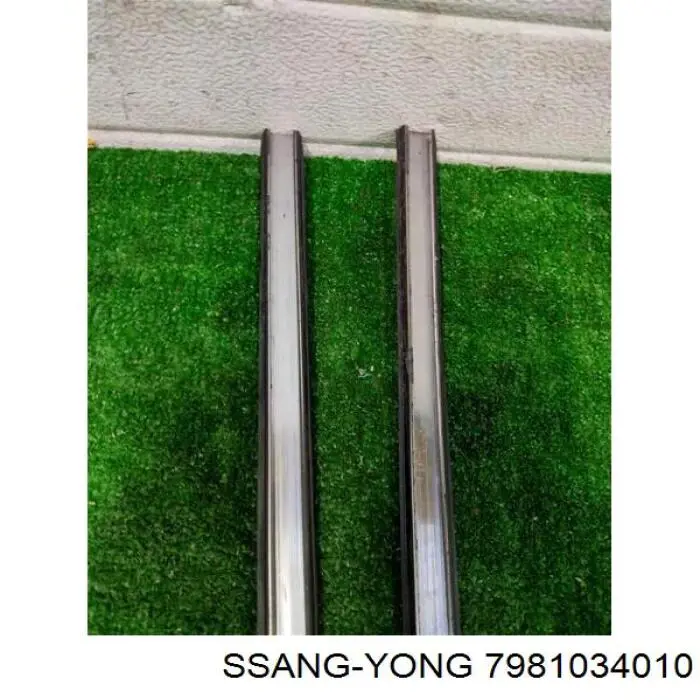  7981034010 Ssang Yong