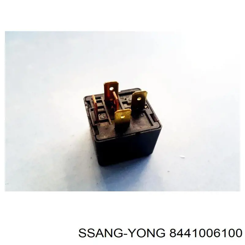 8441006100 Ssang Yong 