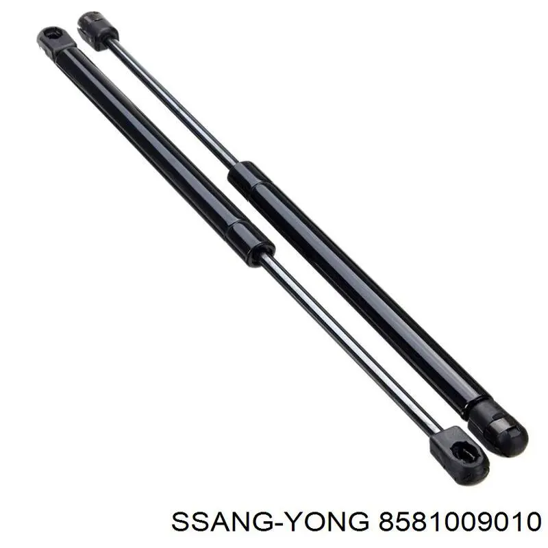 Купити 8581009010 Ssang Yong 