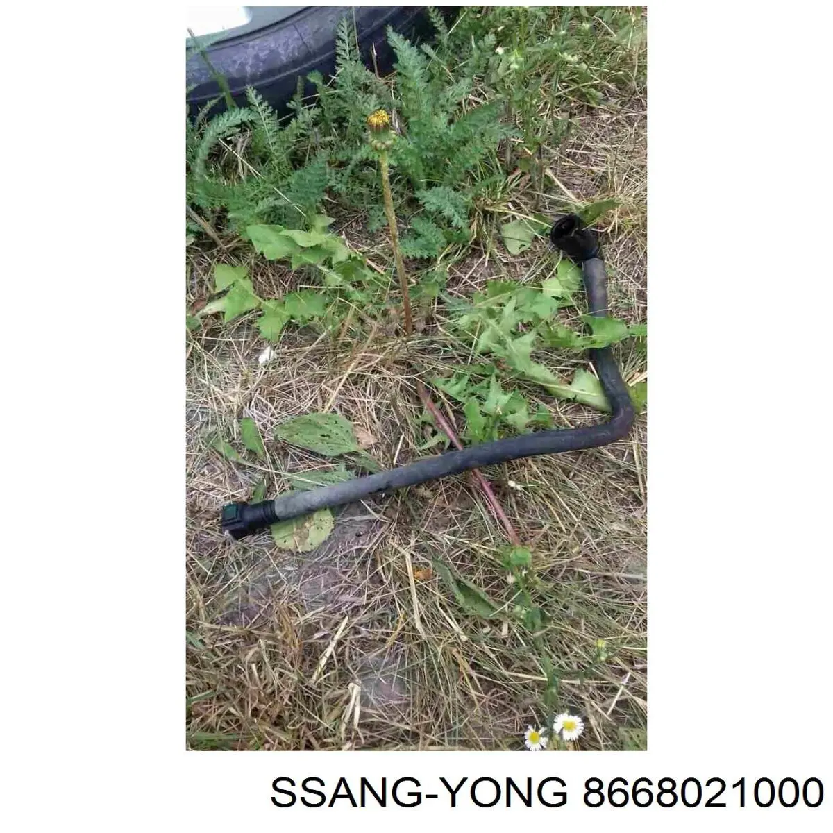  8668021000 Ssang Yong