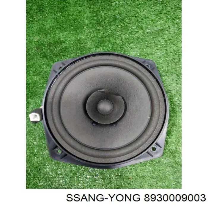  8930009003 Ssang Yong