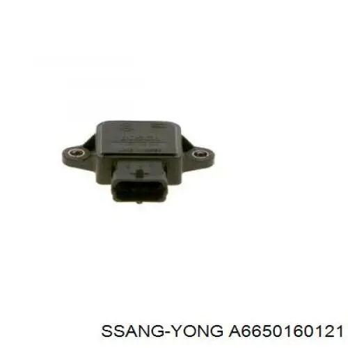 Прокладка клапанної кришки двигуна A6650160121 Ssang Yong