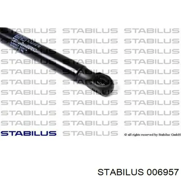 Амортизатор двері задньої Starline 7621800 ціна, від 9.14 USD
