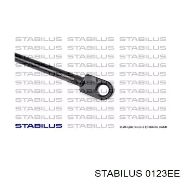 Амортизатор двері задньої Stabilus 0123EE ціна, від 15.14 USD