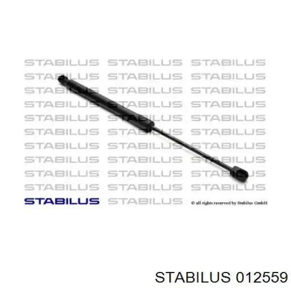 012559 Stabilus амортизатор кришки багажника/ двері 3/5-ї задньої