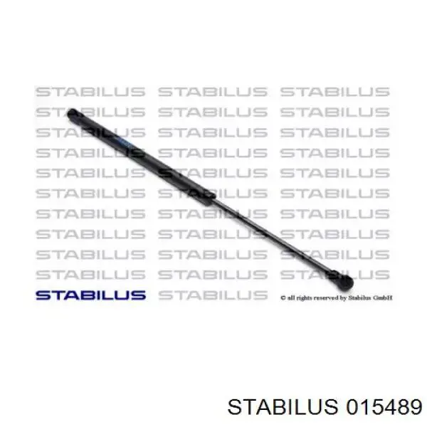 Амортизатор двері задньої Stabilus 015489 ціна, від 7.98 USD