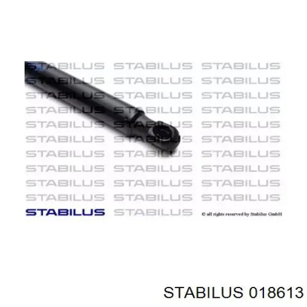 Амортизатор двері задньої Stabilus 018613 ціна, від 11.53 USD
