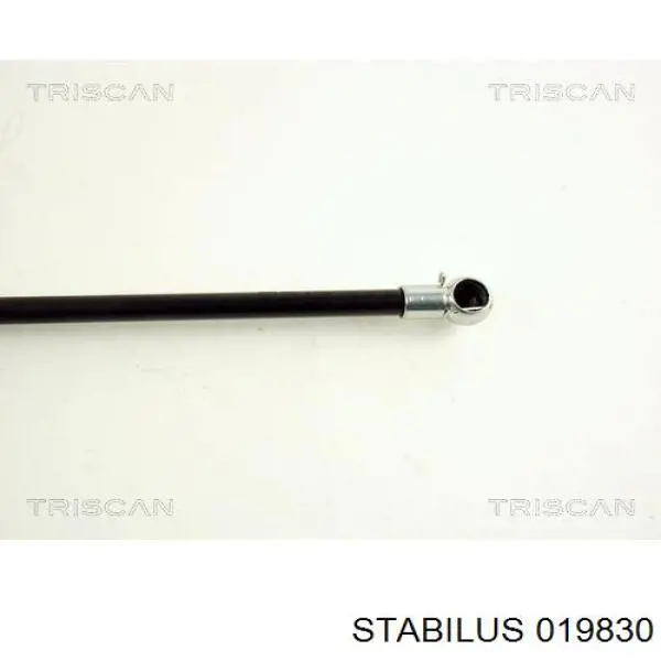 Амортизатор двері задньої Stabilus 019830 ціна, від 8.23 USD